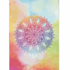 Colors